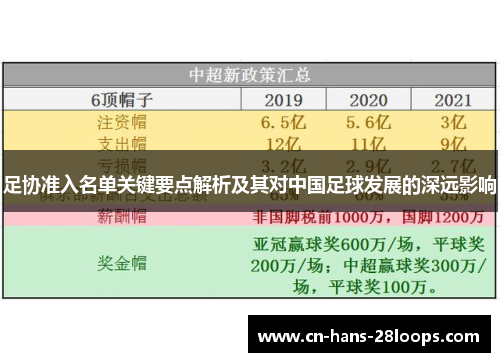 足协准入名单关键要点解析及其对中国足球发展的深远影响