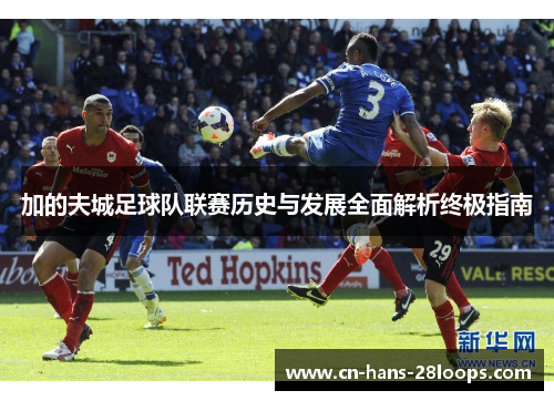 加的夫城足球队联赛历史与发展全面解析终极指南